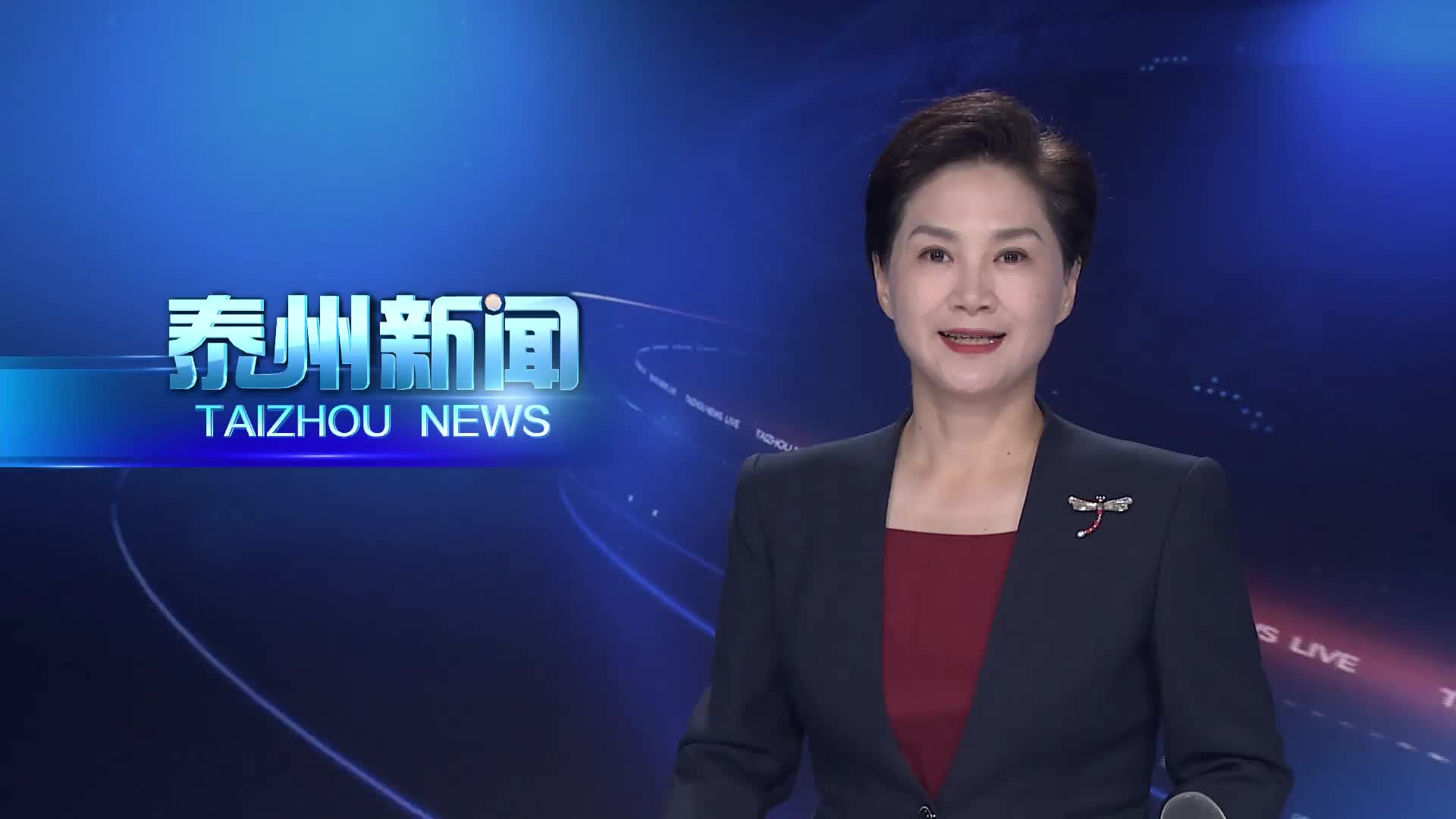 2025泰州马拉松鸣枪开跑  万名跑者共赴“幸福之约”