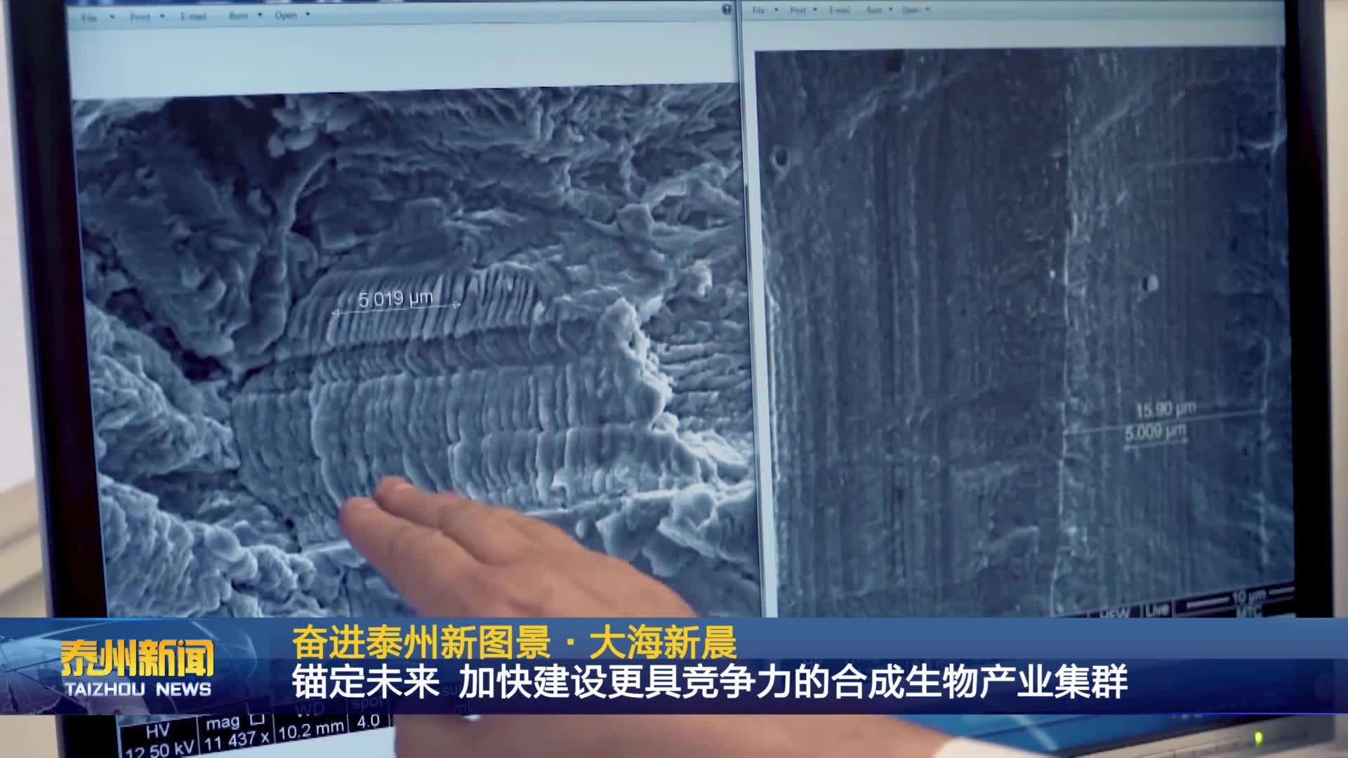 奋进泰州新图景·大海新晨  锚定未来 加快建设更具竞争力的合成生物产业集群